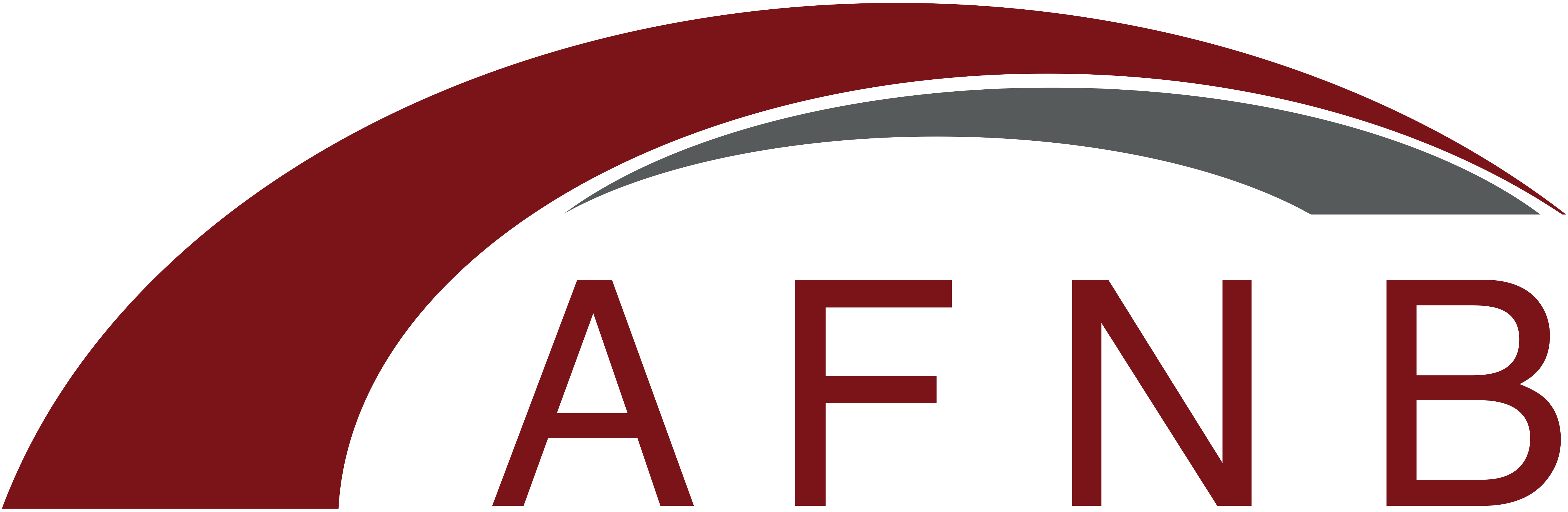 AFNB Logo ohne Untertitel
